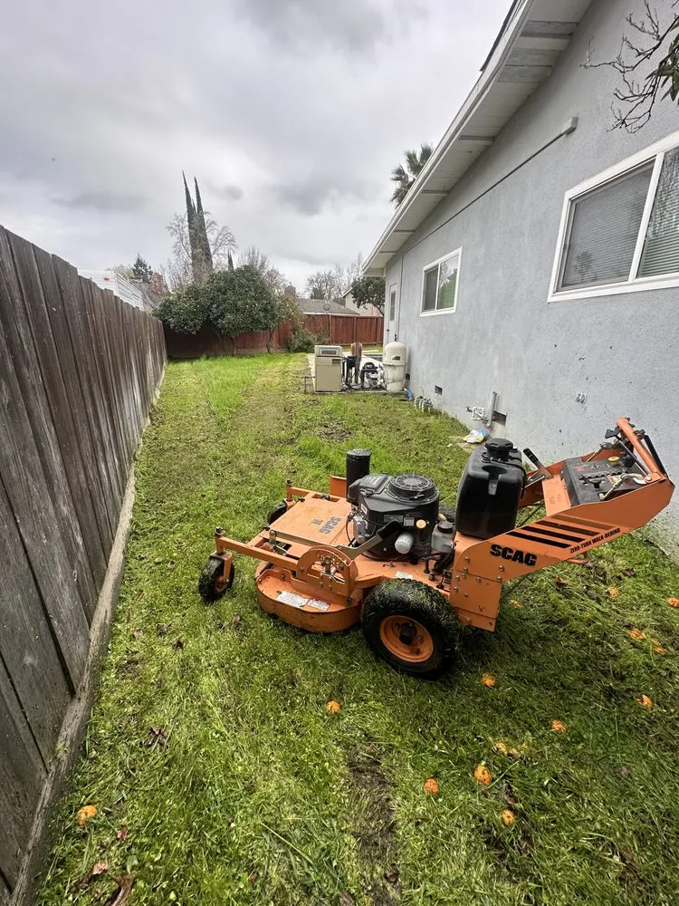 Reliable landscaping services for year-round maintenance across Ceres, CA - Gardening By Omar
