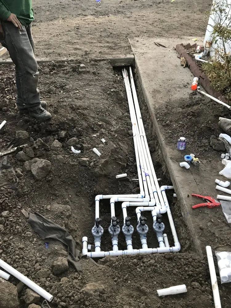 Trusted yard maintenance in Ceres, CA by Gardening By Omar