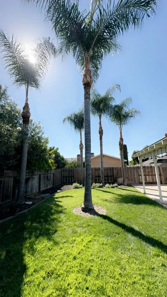 Professional landscaping services experts serving Ceres, CA - Gardening By Omar