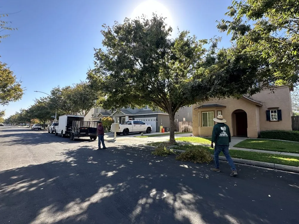 Expert landscape installation in Ceres, CA by Gardening By Omar