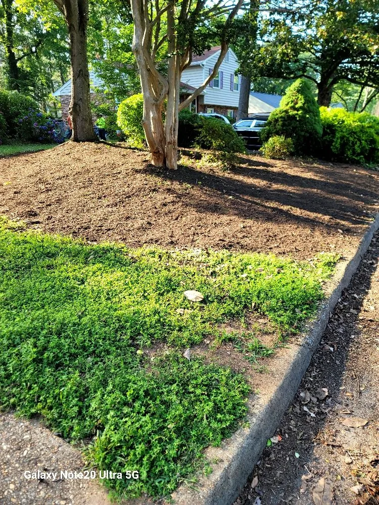 Reliable lawn mowing service experts serving Culpeper, VA - Gardening Company