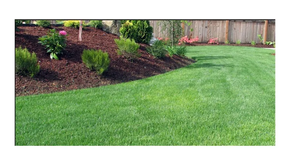 Top-rated yard cleanup service in Columbia, SC by Gardening Dash