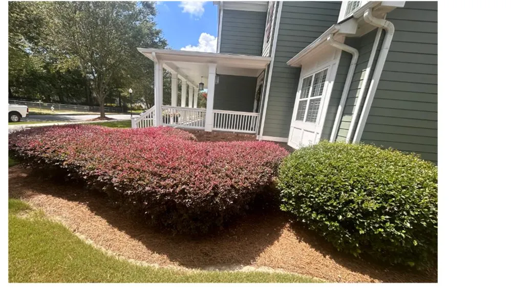 Affordable garden landscaping in Columbia, SC by Gardening Dash