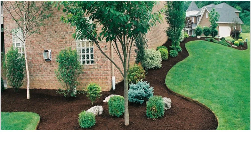 Affordable lawn mowing service for beautiful yards across Columbia, SC - Gardening Dash