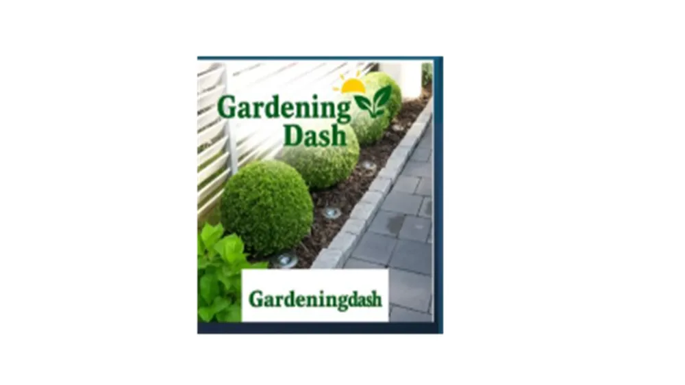 Trusted landscaping services for year-round maintenance across Columbia, SC - Gardening Dash Landscaping