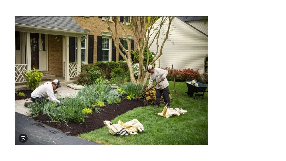 Custom residential landscaping for beautiful yards in Columbia, SC by Gardening Dash Landscaping