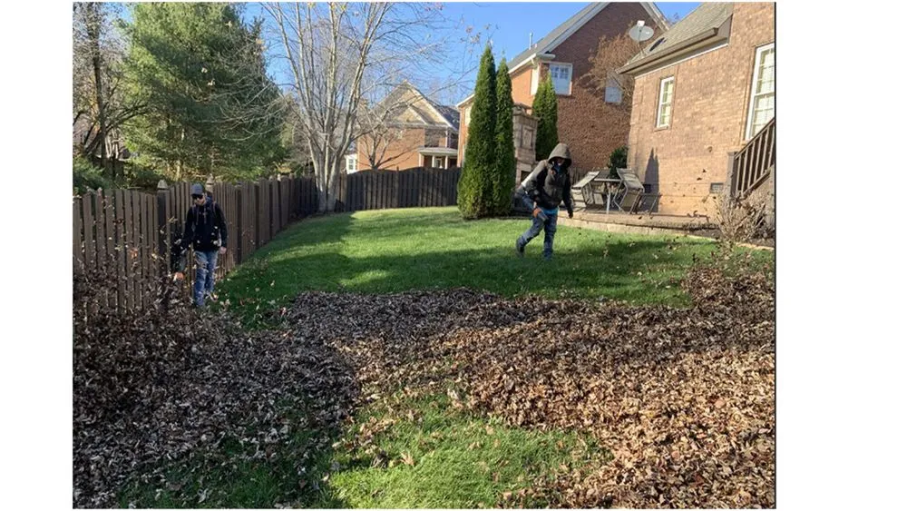 Affordable yard maintenance in Columbia, SC - Gardening Dash Landscaping