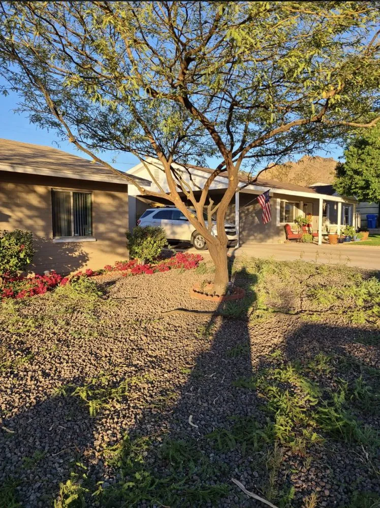 Top-rated lawn mowing service in Miami, FL - Gardening Florida JR.