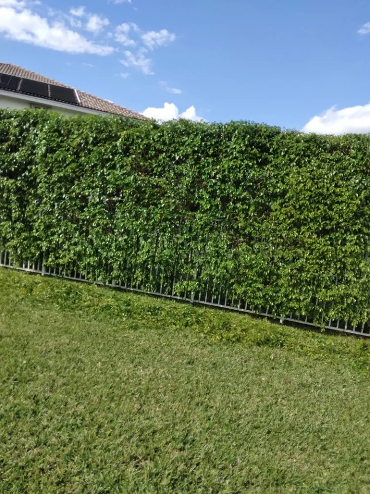 Reliable landscape design in Miami, FL - Gardening Florida JR.