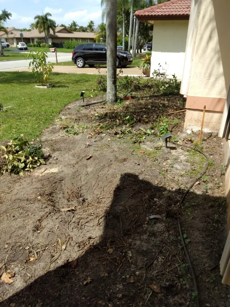 Top-rated yard maintenance in Miami, FL by Gardening Florida JR.