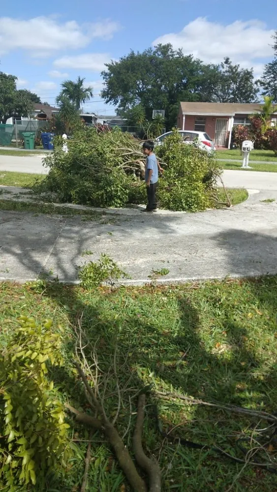 Custom garden landscaping experts serving Miami, FL - Gardening Florida JR.