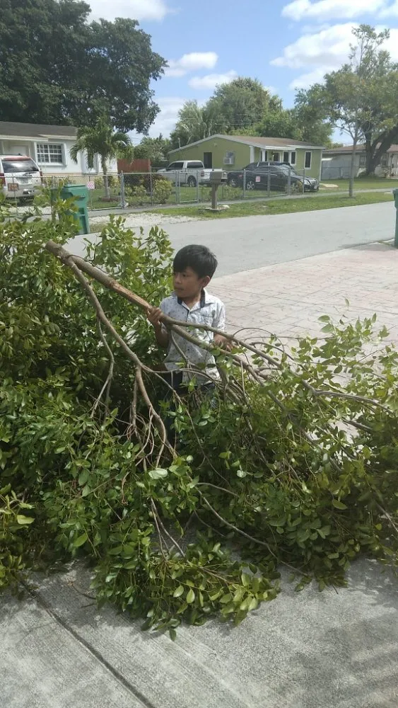 Trusted outdoor landscaping in Miami, FL by Gardening Florida JR.