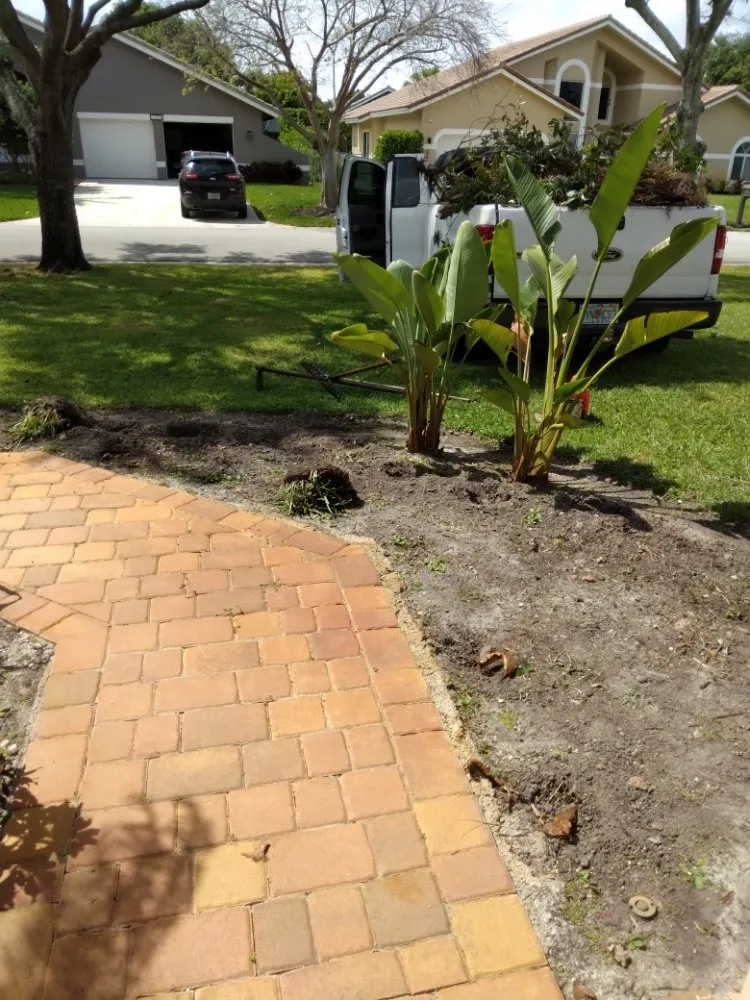 Professional lawn mowing service in Miami, FL - Gardening Florida JR.