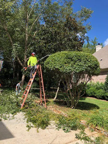 Trusted landscape design for homes in Miami, FL by Gardening Florida JR.