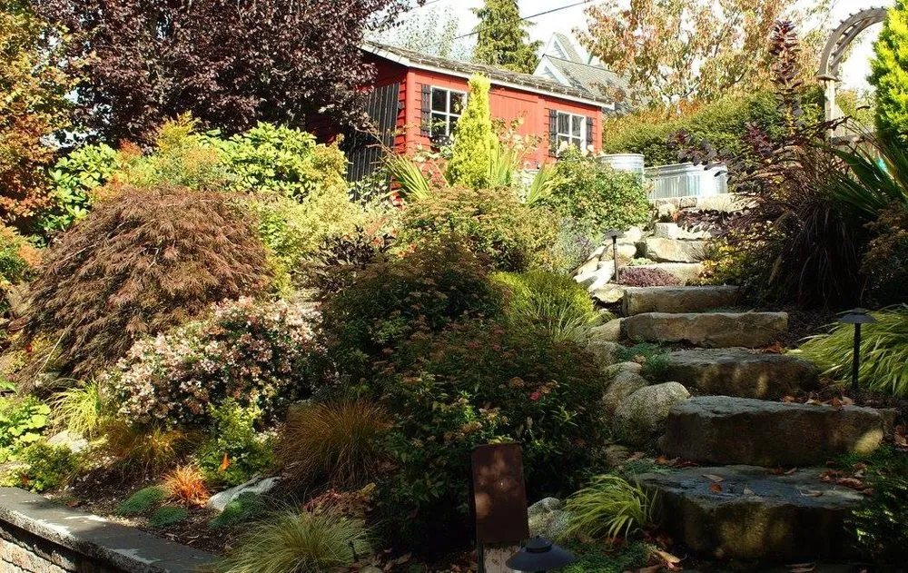 Top-rated garden landscaping in Petaluma, CA - Gardening Gal