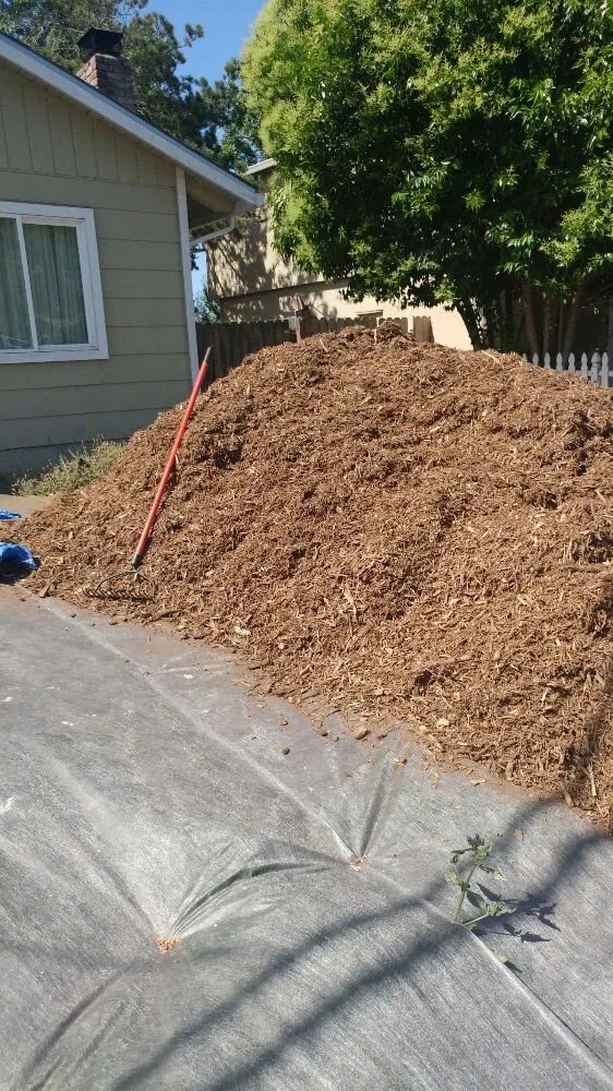 Local landscaping services for homes across Petaluma, CA - Gardening Gal