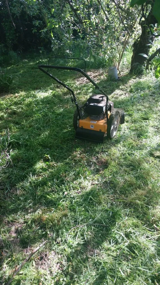 Affordable landscape installation for year-round maintenance across Petaluma, CA - Gardening Gal