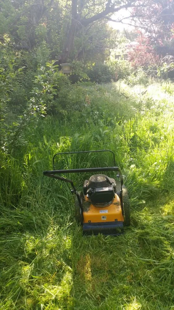 Top-rated lawn care service for residential properties in Petaluma, CA by Gardening Gal