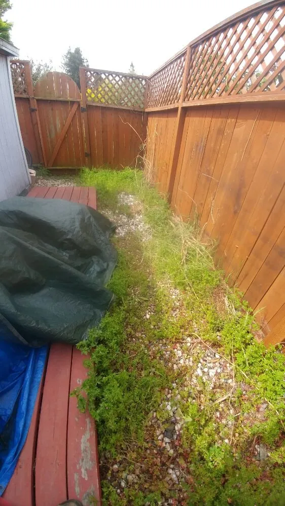 Reliable lawn care service for residential properties across Petaluma, CA - Gardening Gal