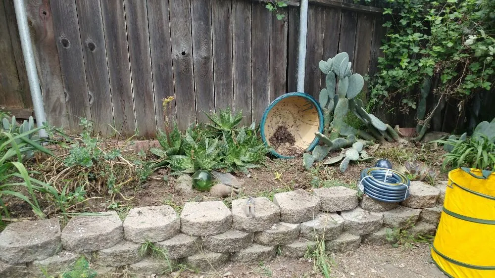 Top-rated residential landscaping for beautiful yards in Petaluma, CA by Gardening Gal