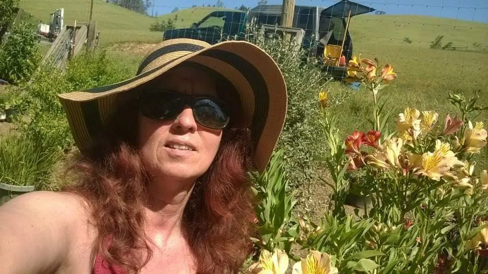 Reliable landscape installation for year-round maintenance in Petaluma, CA by Gardening Gal