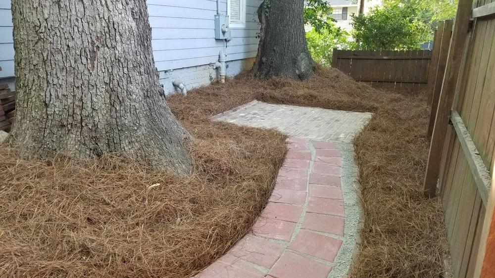 Trusted yard maintenance experts serving Peachtree Corners, GA - Gardening in Victory