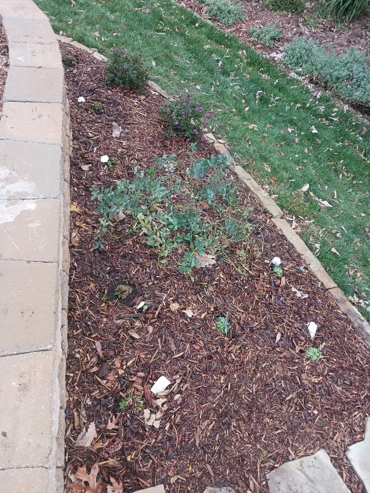 Reliable landscape design experts serving Lawrence, KS - Gardening Made Easy