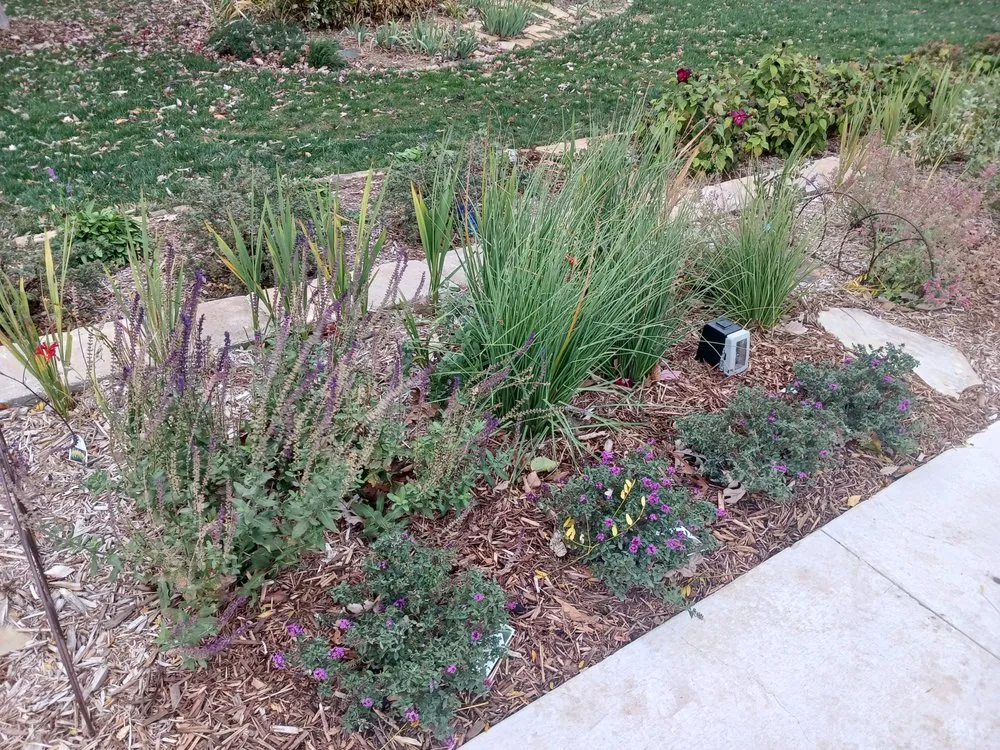 Trusted yard cleanup service experts serving Lawrence, KS - Gardening Made Easy