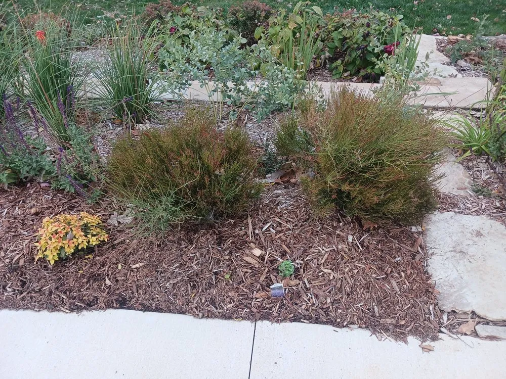 Affordable outdoor landscaping near you in Lawrence, KS by Gardening Made Easy