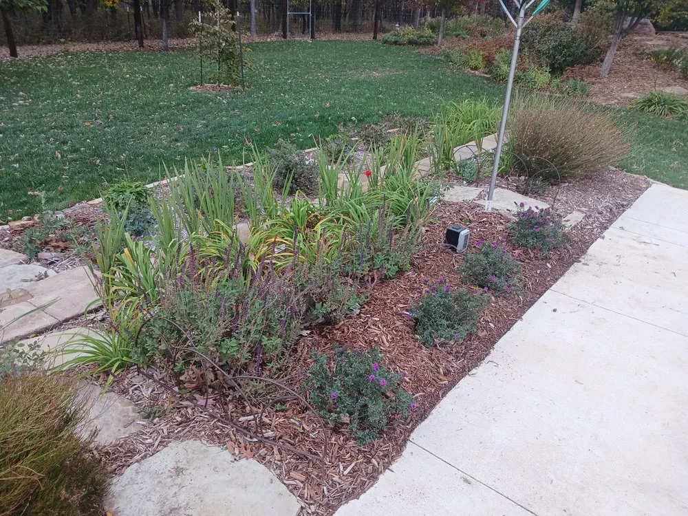 Expert garden landscaping for year-round maintenance across Lawrence, KS - Gardening Made Easy