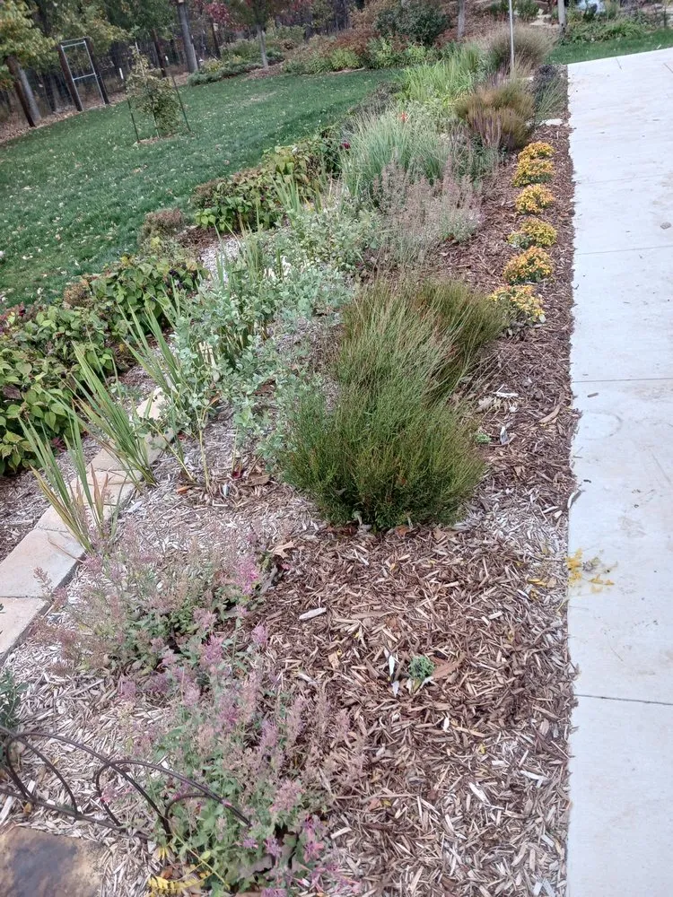 Custom landscaping services for outdoor upgrades across Lawrence, KS - Gardening Made Easy