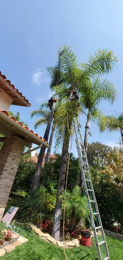 Trusted lawn mowing service for beautiful yards across San Juan Capistrano, CA - Gardening Service & Maintenance