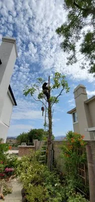Gardening Service & Maintenance Logo
