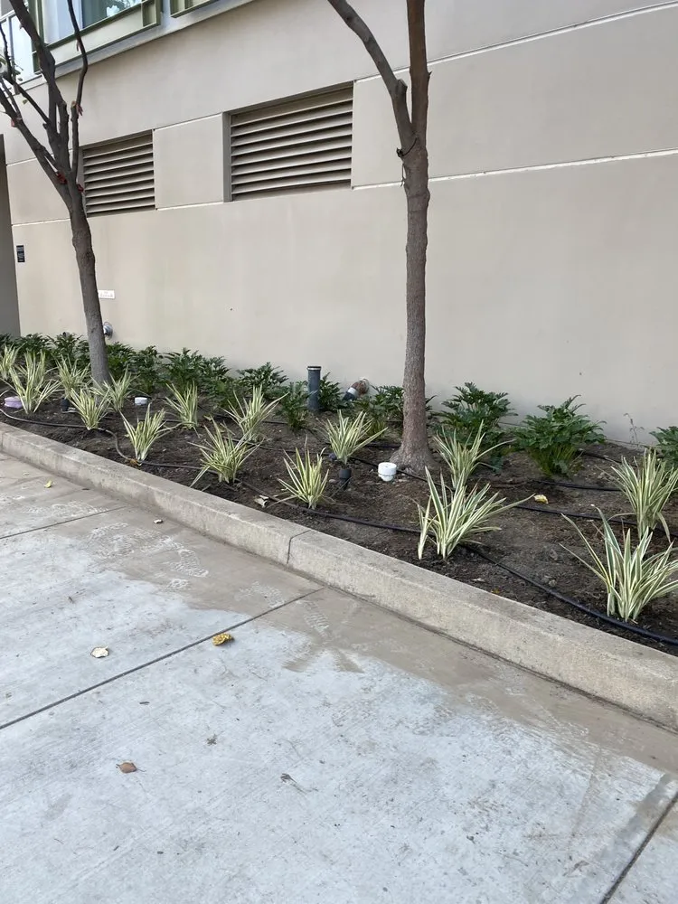 Top-rated lawn care service for beautiful yards in Los Angeles, CA by Gardening Service