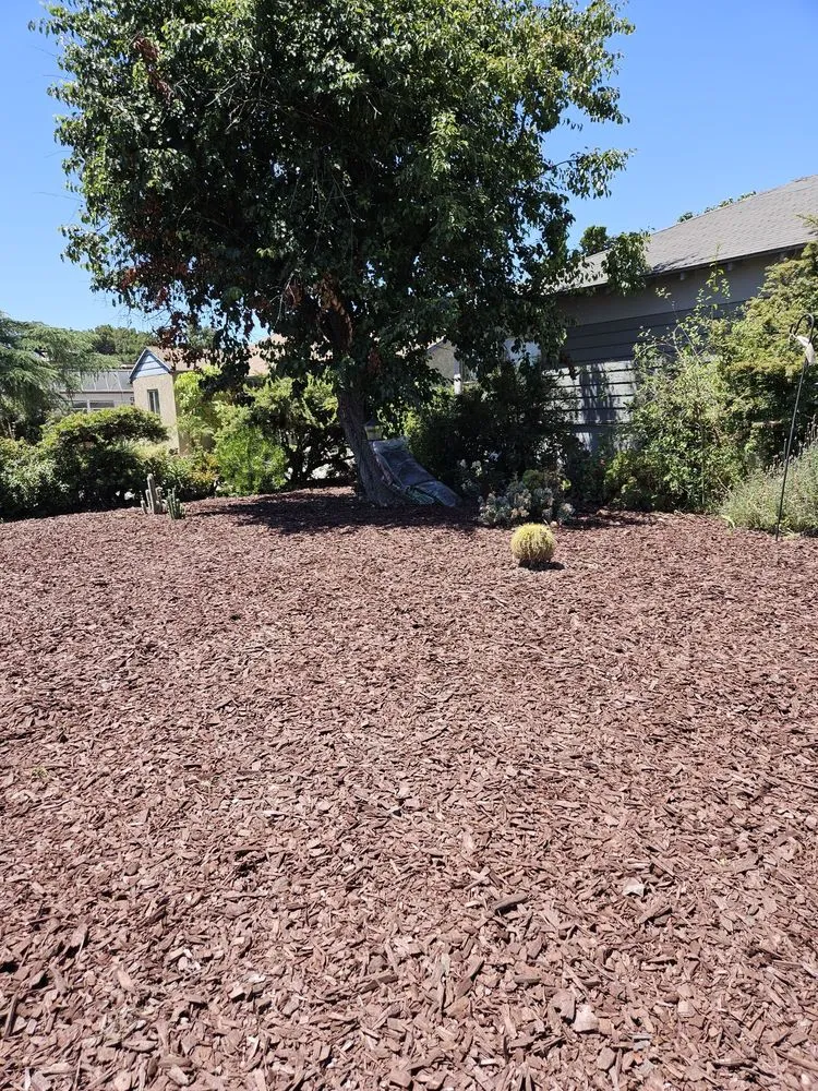 Trusted landscape design experts serving Los Angeles, CA - Gardening Service