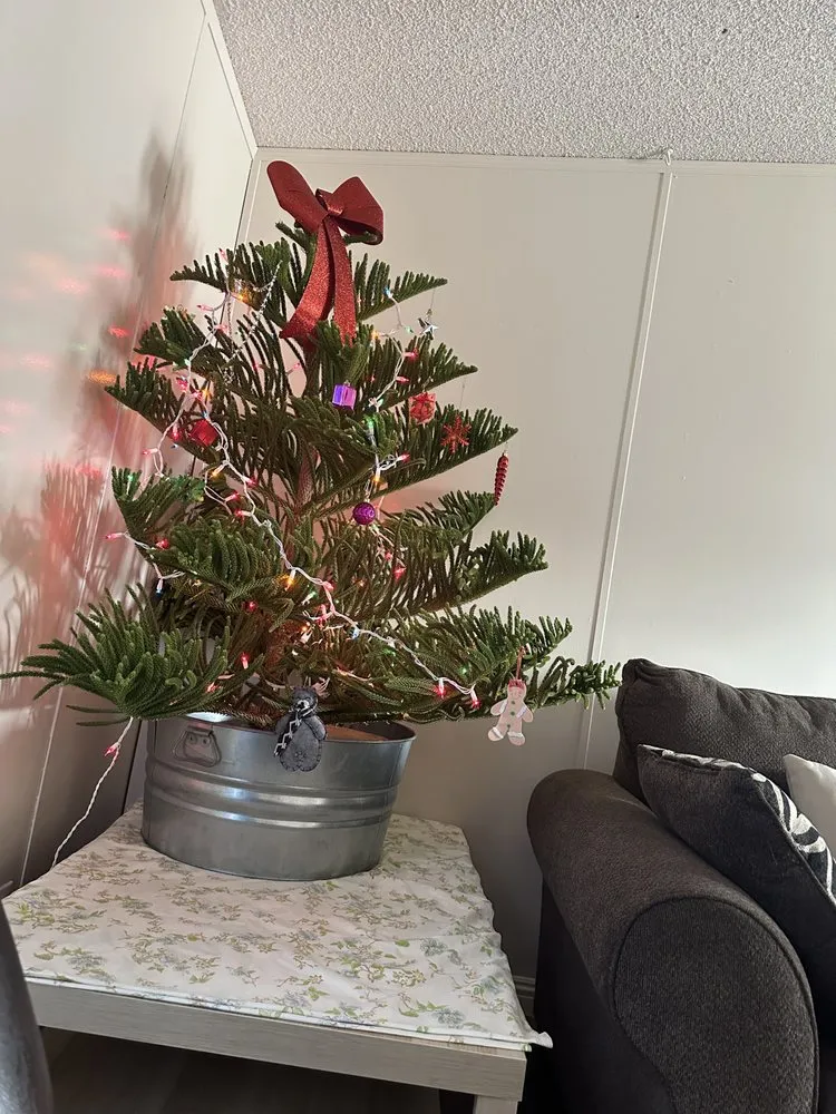 Trusted landscaping services for residential properties across Los Angeles, CA - Gardening Service