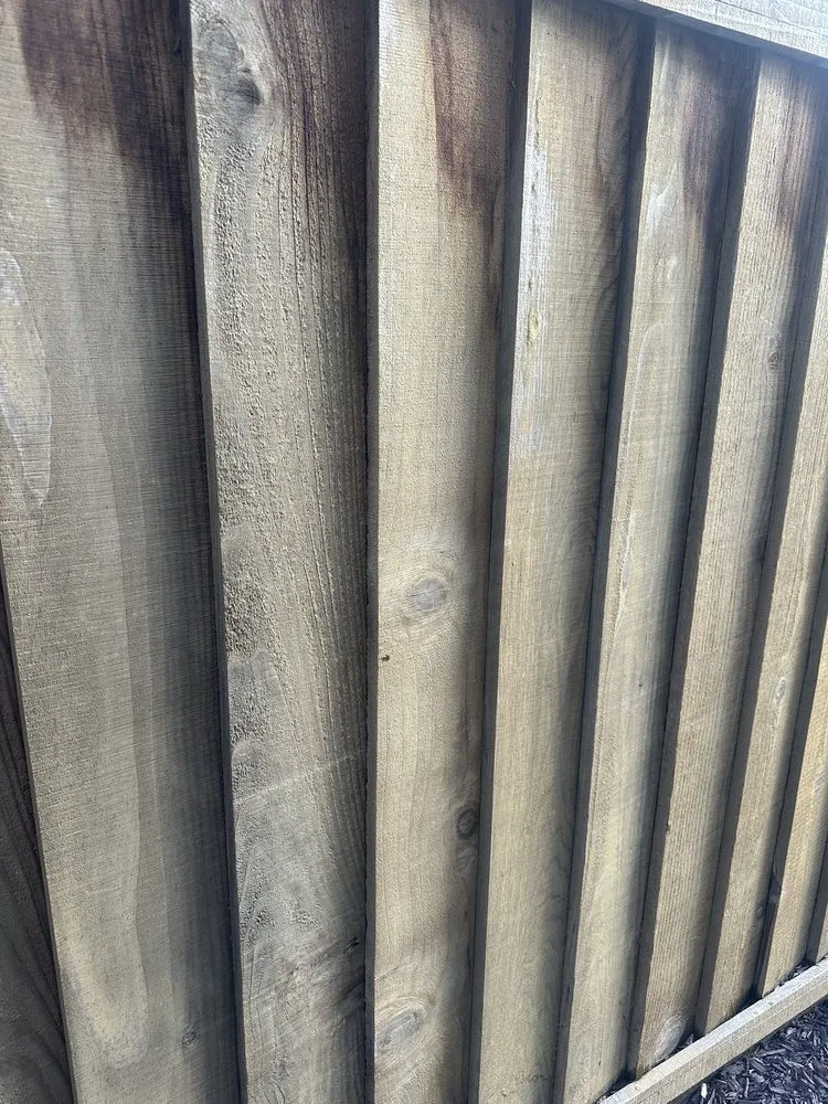 Trusted yard cleanup service in Los Angeles, CA by Gardening Service