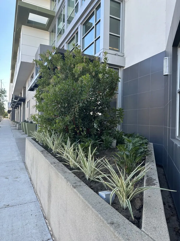 Expert residential landscaping in Los Angeles, CA by Gardening Service