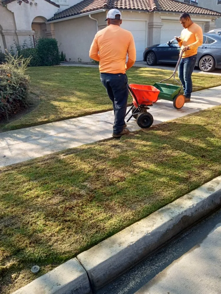 Custom outdoor landscaping in Fresno, CA by Gardening Service Maintenance