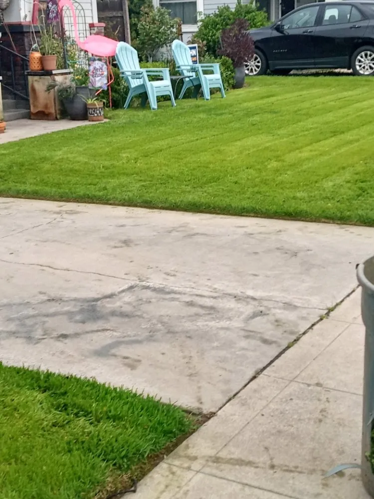 Top-rated yard cleanup service for year-round maintenance in Fresno, CA by Gardening Service Maintenance