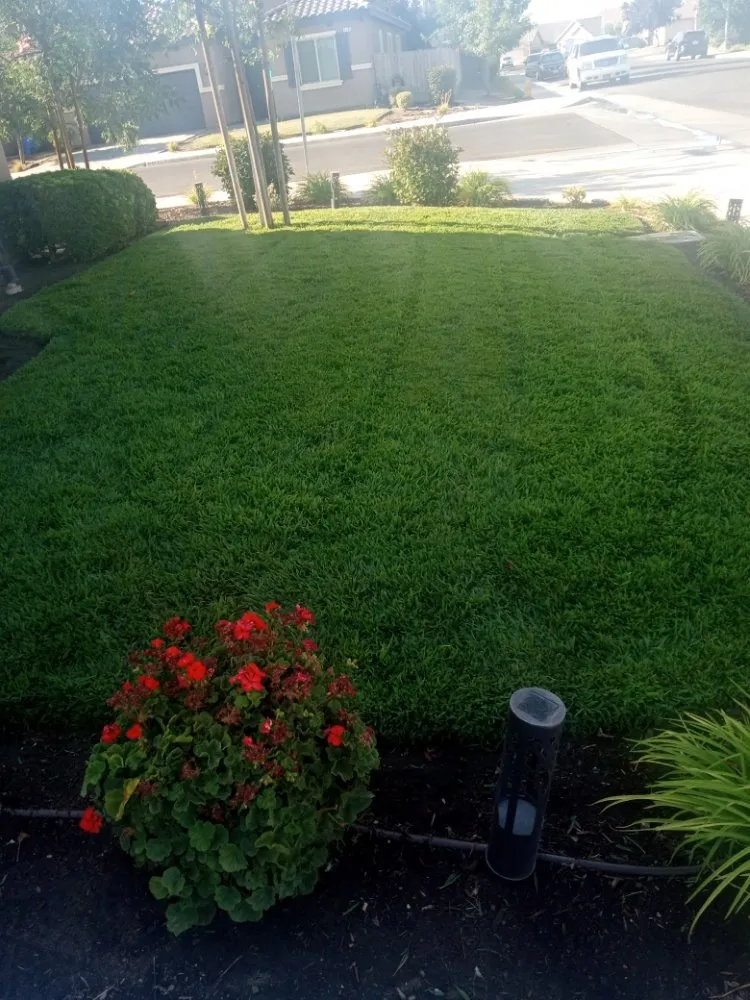 Trusted outdoor landscaping in Fresno, CA - Gardening Service Maintenance