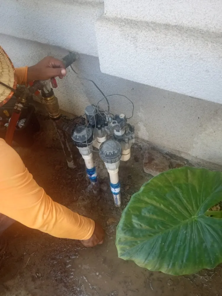 Top-rated residential landscaping with custom design across Fresno, CA - Gardening Service Maintenance