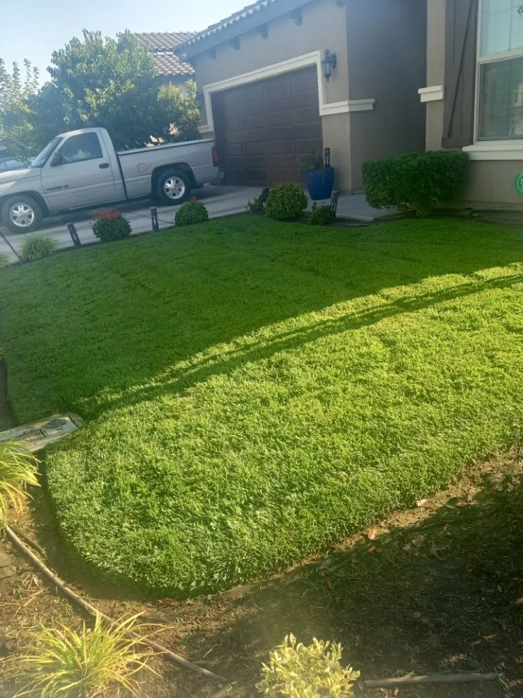 Top-rated yard maintenance in Fresno, CA by Gardening Service Maintenance