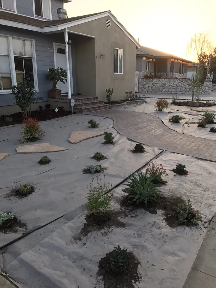 Local landscape installation for year-round maintenance across Los Angeles, CA - Gardening Services Ramos