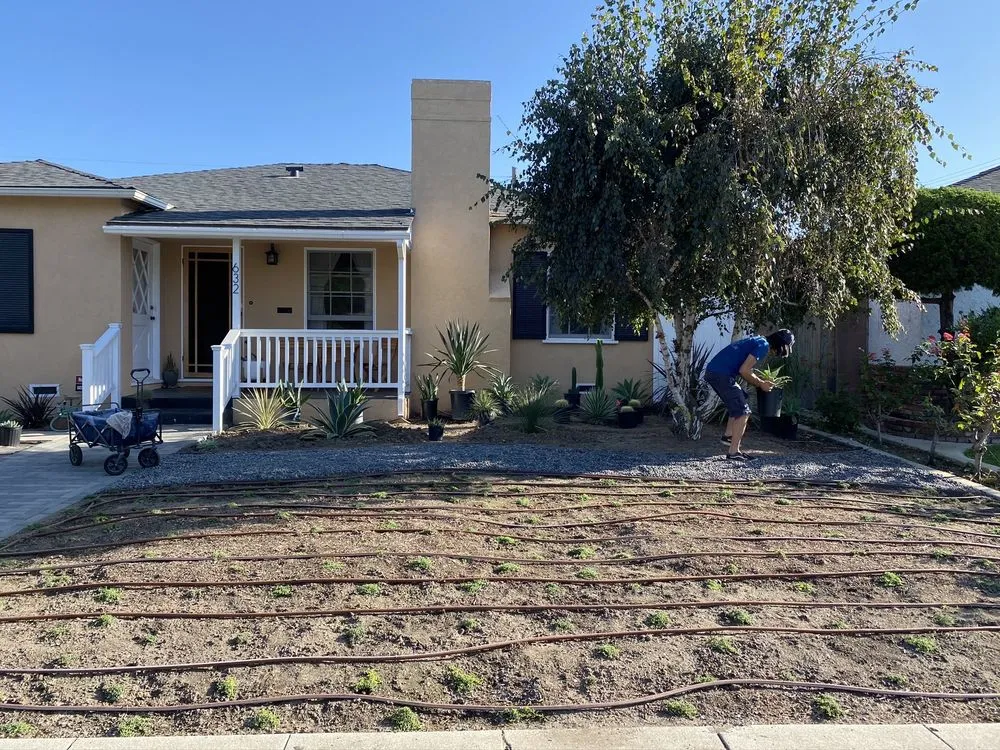 Reliable landscaping services near you across Los Angeles, CA - Gardening Services Ramos