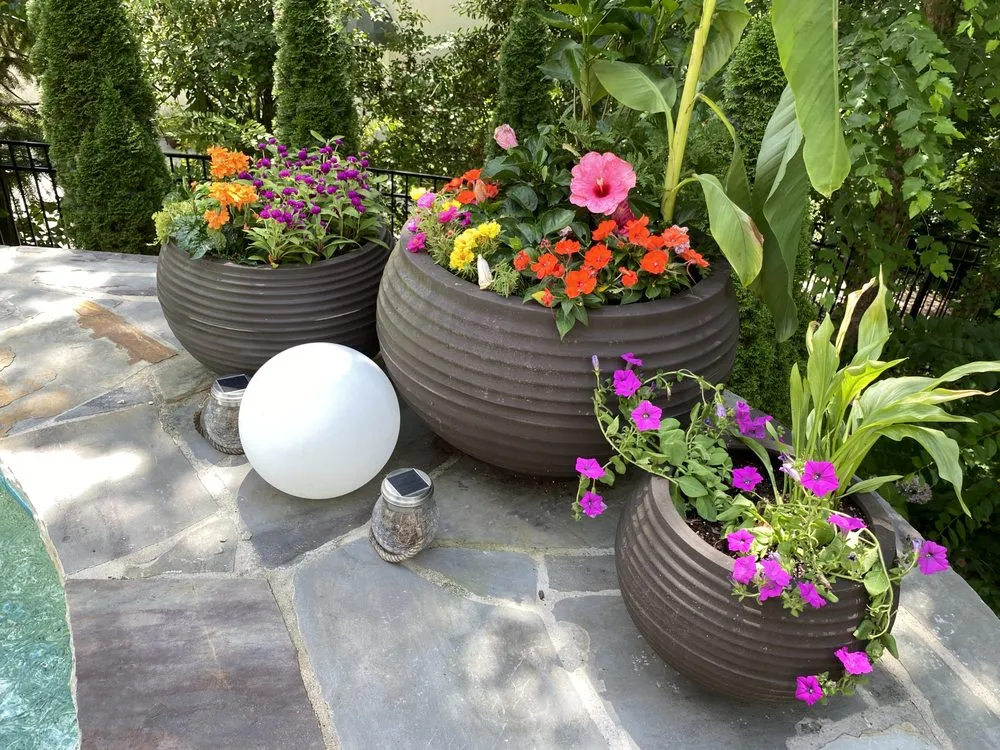 Professional landscape design in Marietta, GA - Gardening Thyme