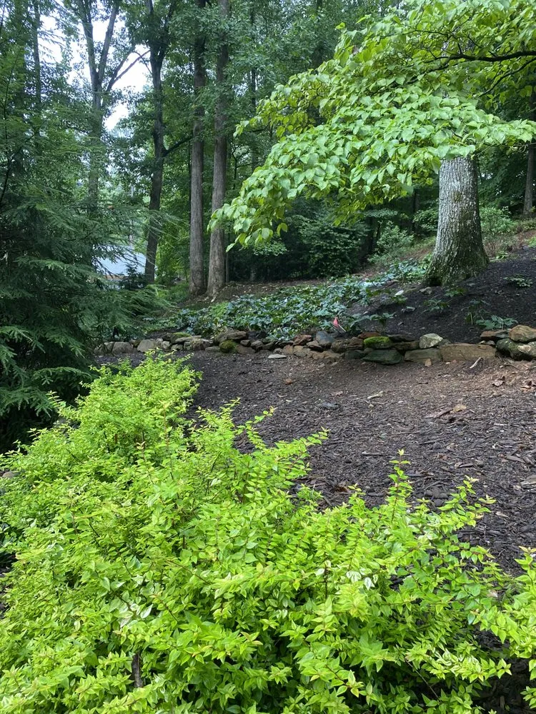 Custom landscape installation for outdoor upgrades across Marietta, GA - Gardening Thyme