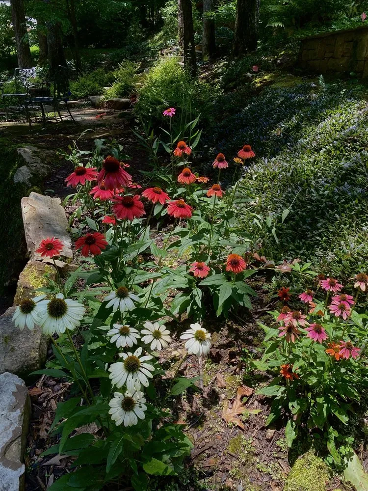 Custom residential landscaping with custom design across Marietta, GA - Gardening Thyme