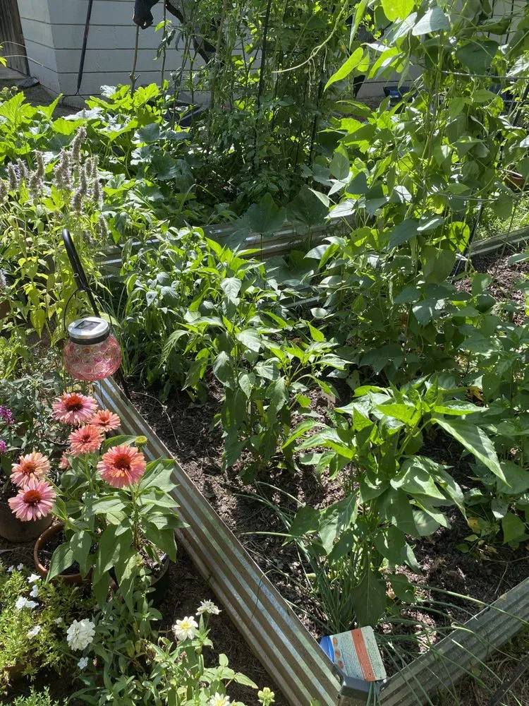 Affordable residential landscaping for outdoor upgrades in Marietta, GA by Gardening Thyme