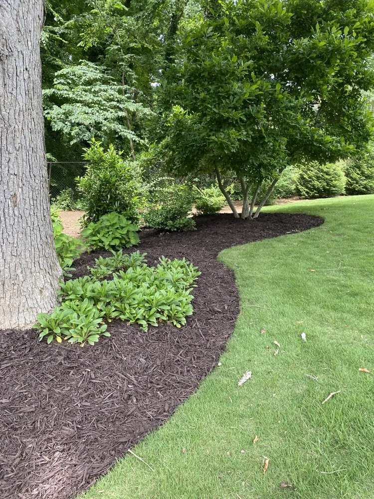 Expert yard maintenance near you in Marietta, GA by Gardening Thyme